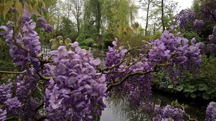 Admiring the flowers and landscapes of our world