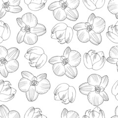 seamless pattern with flowers