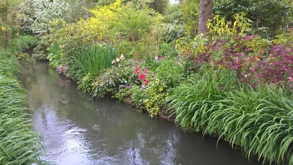 Admiring the flowers and landscapes of our world