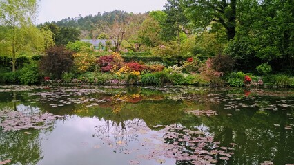 Admiring the flowers and landscapes of our world