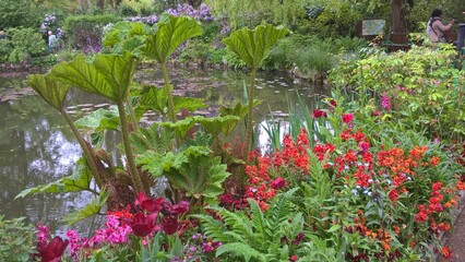 Admiring the flowers and landscapes of our world