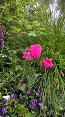 Admiring the flowers and landscapes of our world