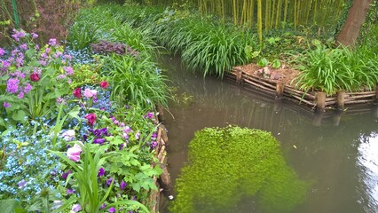 Admiring the flowers and landscapes of our world