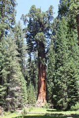 Fototapeta premium Nature Photos