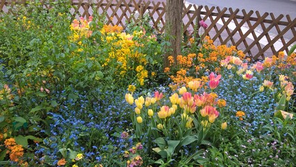 Admiring the flowers and landscapes of our world