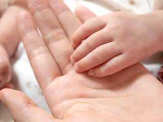 Obraz na płótnie Canvas 新生児の赤ちゃんと母の手のボディパーツ