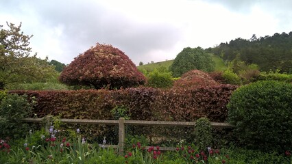 Admiring the flowers and landscapes of our world