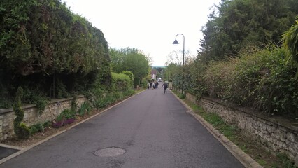 Admiring the flowers and landscapes of our world