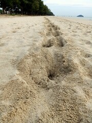 beach