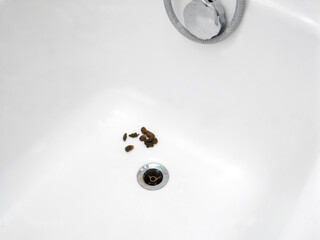 cat poo in a bath