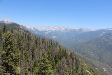 Fototapeta premium Nature Photos