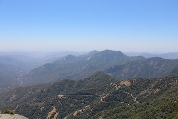 Fototapeta premium Nature Photos