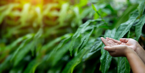 Technology, hand holding with environment Icons over the Network connection on green background.