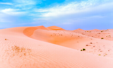 Fototapeta na wymiar Amazing sand dunes and sky in Liwa of UAE