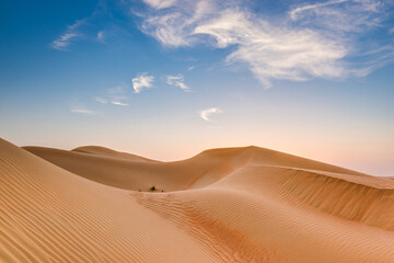 Fototapeta na wymiar Amazing sand dune and sky in Liwa, Abu Dhabi, UAE