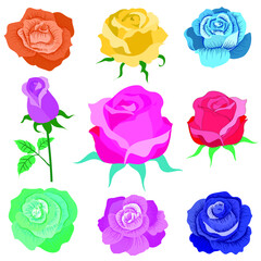 Rose vector by hand drawing, Vector background, fabric, tattoo