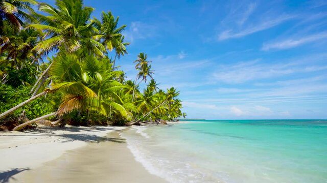Cuba palm beach landscape. Beach and sea on summer sunny day. Clear turquoise seawater washes over a clean sandy beach. Nobody copy space.