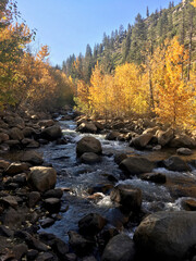River with rocks and trees with fall colors in autumn at Hope Valley, California