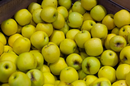 Image of fresh apples on the counter in supermarket, nobody