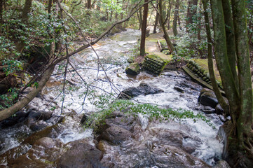 石川県能美市の七つ滝