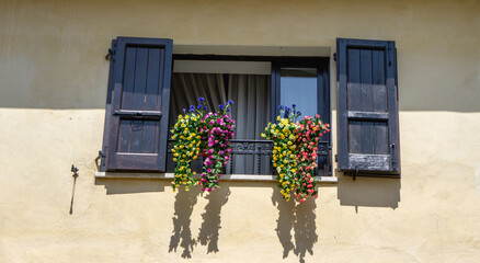Fototapeta na wymiar schönes Fenster mit Blumen und Klappläden
