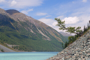 Lake next to the mountain. The tree bent over the water. Rocky shore. Blue sky. Natural background.