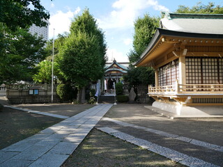Fototapeta premium 神社