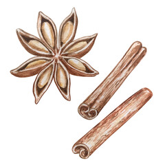 watercolor illustration set of spices