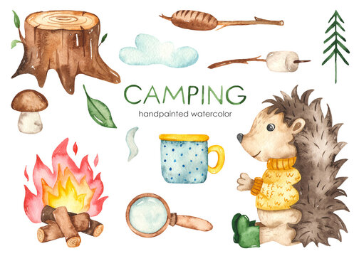 Camping watercolor set with sitting hedgehog, mug, marmallow on stick, bonfire, tree stump, magnifying glass