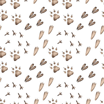 Watercolor seamless pattern with animal footprints on a white background