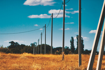 power lines in the field