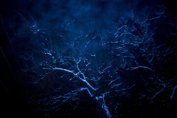 Obraz premium lightning in the night