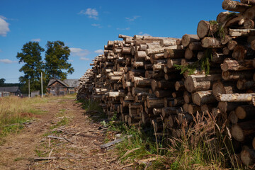 Pile of pine logs in a sawmill for further processing into pellets