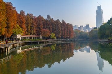 Fototapeta premium Hubei Wuhan Liberation Park late autumn scenery