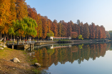 Hubei Wuhan Liberation Park late autumn scenery