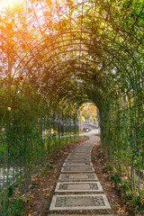 Obraz premium Hubei Wuhan Liberation Park late autumn scenery