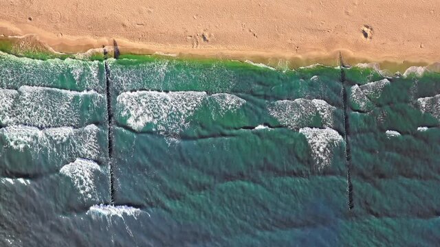 Baltic Sea with cyanobacteria in water, Poland