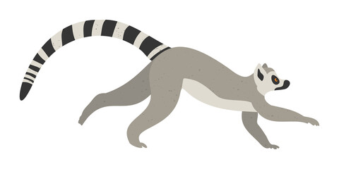 Cute funny lemur on an isolated white background. Vector stock illustration. Hand-drawn illustration, poster. Exotic animal primate, monkey. Cartoon style, flat design with textured effect.