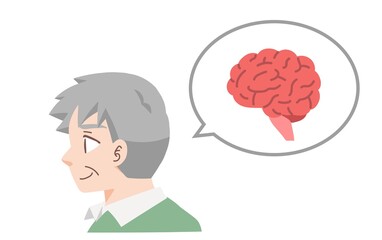 健康な高齢者の脳のイラスト