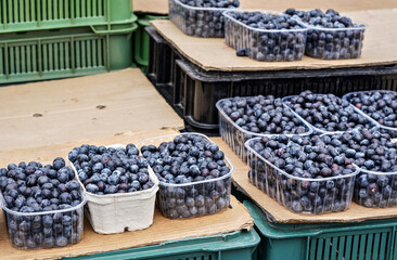 Small plastic and paper boxes with blueberries displayed on street food market