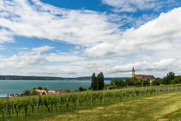 Blick auf den Bodensee mit Wallfahrtskirche Birnau und Weinbergen. Uhldingen-Mühlhofen,...
