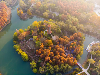 Hubei Wuhan Liberation Park late autumn scenery
