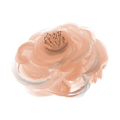 Hand Painted Flower Background Hand Drawn Illustration	