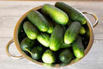 Fresh cucumbers in a colander over wooden background. Fresh produce from the Farmers Market.