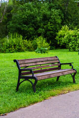 Wooden bench on the green grass in the Park