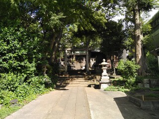 Fototapeta na wymiar 神社への参拝