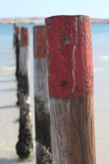 Seascape piling poles in water with red and white stripes