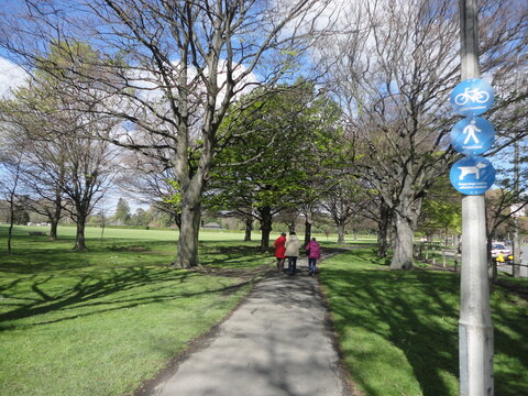 Hagley Park In Christchurch 