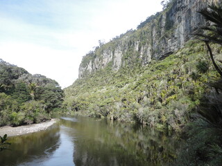 punakaiki in newzealand