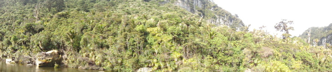 Fototapeta na wymiar punakaiki in newzealand